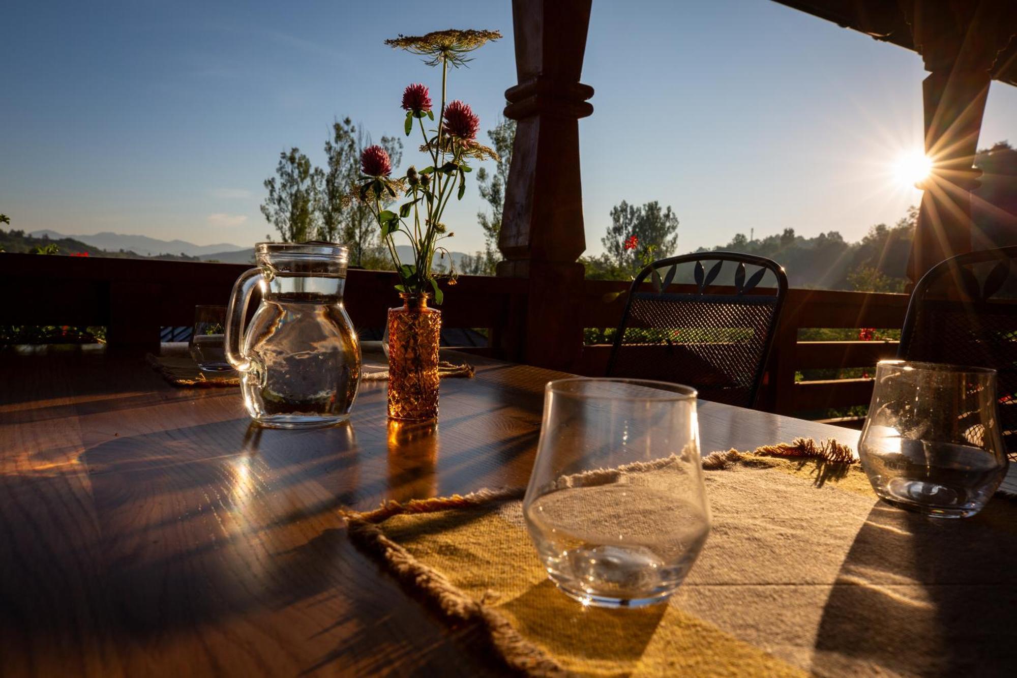 Dor De Maramu' Bed and Breakfast Ieud Εξωτερικό φωτογραφία